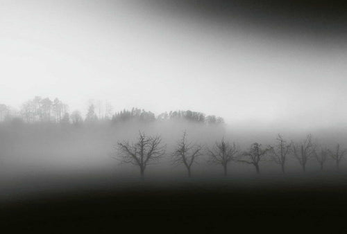 5097 8 wizard genius foggy landscape Fotomural Tejido No Tejido 384x260cm 8 Tiras e398f0f8 a776 40a3 9a7d c9f97db0ba52 | Yourdecoration.es