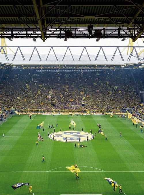 5428 4 wizard genius bvb fan choreo Fotomural Tejido No Tejido 192x260cm 4 Tiras | Yourdecoration.es