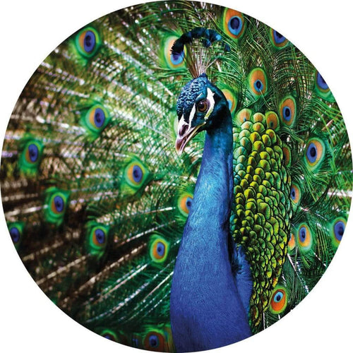 5490 r wizard genius beautiful peacock Fotomural Tejido No Tejido 140x140cm Redondo | Yourdecoration.es