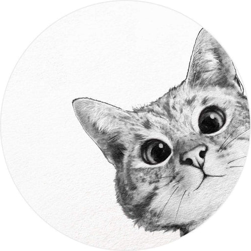 5508 r wizard genius sneaky cat Fotomural Tejido No Tejido 140x140cm Redondo | Yourdecoration.es