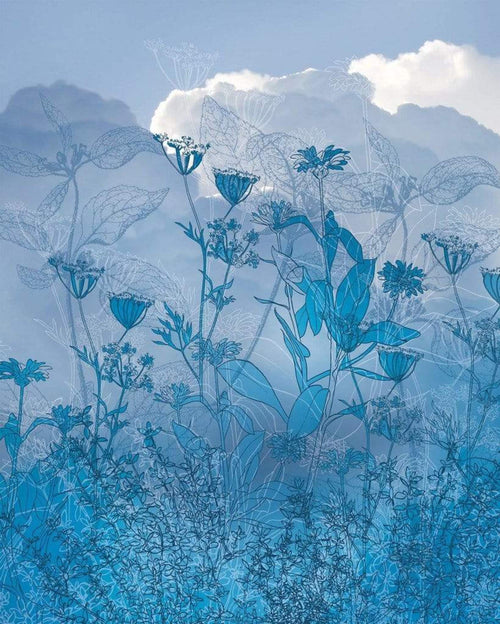 6041a vd2 komar blue sky Fotomural Tejido No Tejido 200x250cm 2 Tiras | Yourdecoration.es