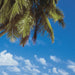 8 240 komar maldives Fotomural 388x270cm 8 Partes a12ff025 0d44 4840 9791 e7d24a8766fe | Yourdecoration.es