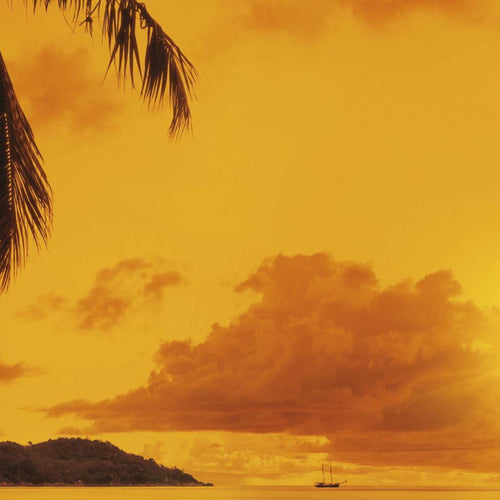 8 316 komar sunset Fotomural 368x254cm 8 Partes de | Yourdecoration.es