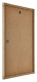Catania MDF Marco de Fotos 29 7x42cm Dorado Parte trasera Oblicuo | Yourdecoration.es