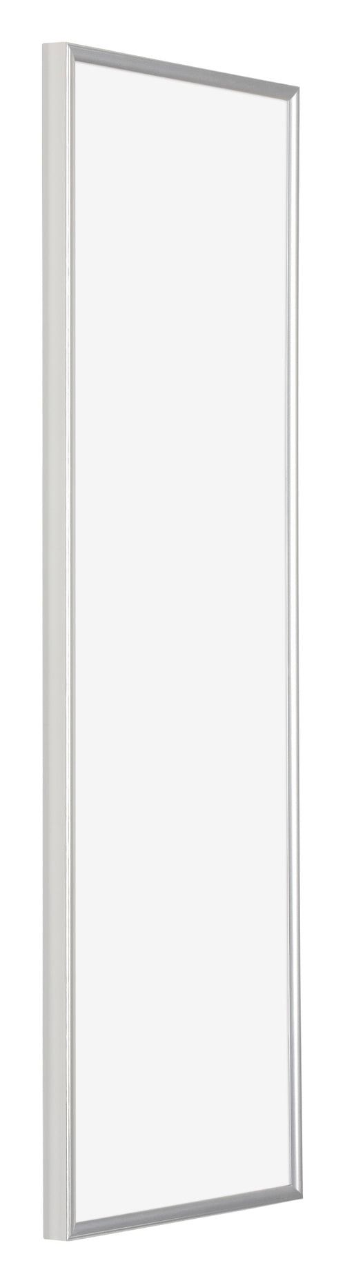 Evry Plástico Marco de Fotos 33x98cm Plateado Delantera Oblicuo | Yourdecoration.es