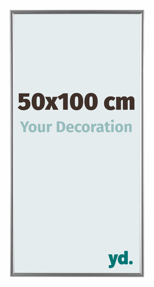 Evry Plástico Marco de Fotos 50x100cm Plateado Delantera Tamano | Yourdecoration.es