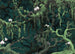 Fotomural Orch Idee 350x250cm FLX7 019 | Yourdecoration.es