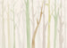 Fotomural Shadow Woods 350x250cm FLX7 008 | Yourdecoration.es