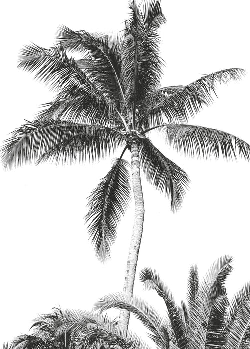 Komar Fotomural Tejido No Tejido Iax4 0011 Retro Palm | Yourdecoration.es