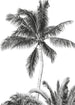 Komar Fotomural Tejido No Tejido Iax4 0011 Retro Palm | Yourdecoration.es