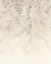 Komar Herbarium No Tejido Fotobehang 200x250cm 4 tiras | Yourdecoration.es