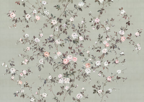 Komar Rosellia No Tejido Fotobehang 350x250cm 7 tiras | Yourdecoration.es