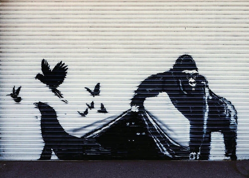 Impresión del Arte Banksy - Gorilla London Zoo 70x50cm