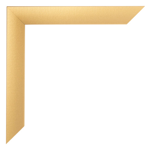 Marco de Fotos 55x65cm Dorado Vintage MDF Pisa Detalle Esquina | Yourdecoration.es