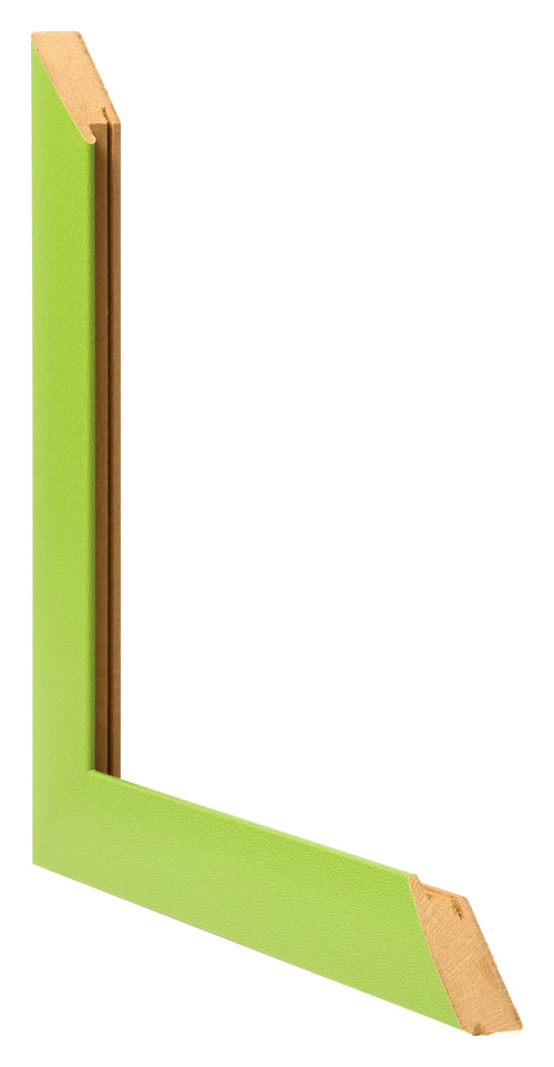 Marco de Fotos 55x65cm Verde MDF Pisa Detalle Diametro | Yourdecoration.es