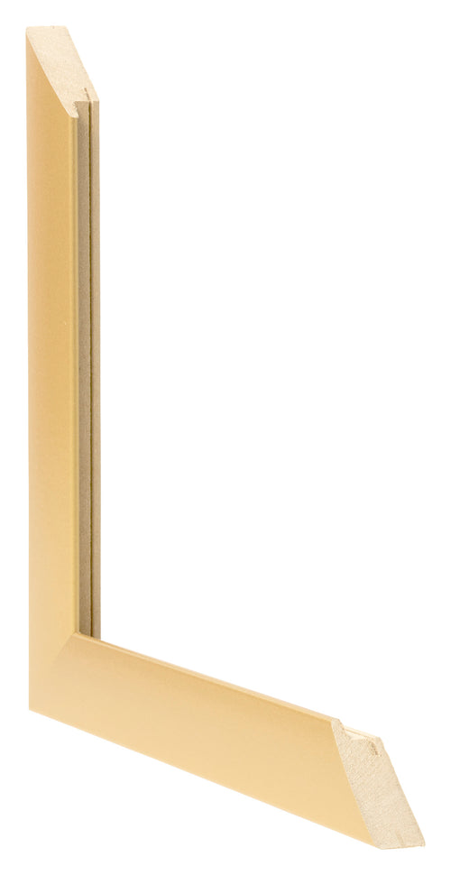 Marco de Fotos 68x98cm Dorado Vintage MDF Pisa Detalle Diametro | Yourdecoration.es