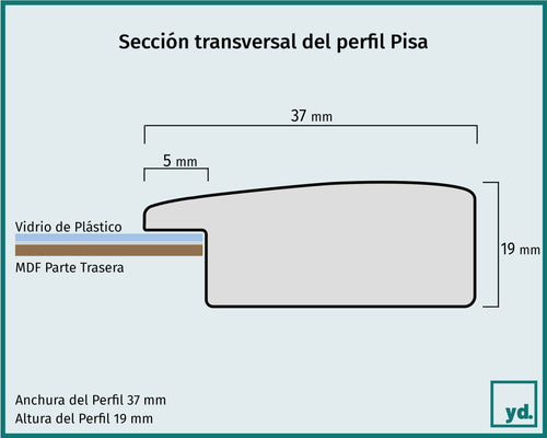 Pisa Detalle Seccion Transversal Dibujo | Yourdecoration.es