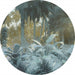 d1 047 komar exotic jungle Fotomural Tejido No Tejido 125x125cm Redondo | Yourdecoration.es