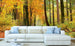dimex autumn forest Fotomural Tejido No Tejido 375x250cm 5 Tiras Ambiente b191d510 cab0 4ef5 9b53 23fdd38a5161 | Yourdecoration.es