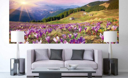 dimex crocuses at spring Fotomural Tejido No Tejido 375x150cm 5 Tiras Ambiente 98568c44 bcab 4a1e 8957 995ce5e4646b | Yourdecoration.es