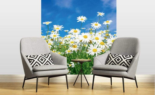 dimex daisies Fotomural Tejido No Tejido 225x250cm 3 Tiras Ambiente 0acacdea a3b1 4aa9 a404 21e54531f2ba | Yourdecoration.es