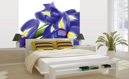 dimex iris Fotomural Tejido No Tejido 225x250cm 3 Tiras Ambiente 8ffe0ef5 bc46 4014 80a3 01e16d24c1ed | Yourdecoration.es