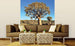 dimex namibia Fotomural Tejido No Tejido 225x250cm 3 Tiras Ambiente 88447bef 3eeb 4eae a39d 809d9113262e | Yourdecoration.es