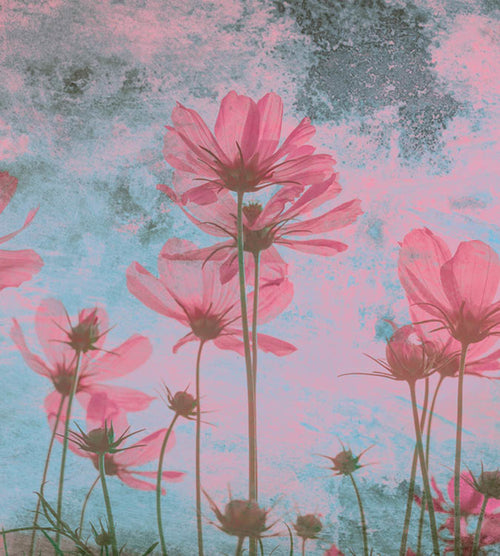 dimex pink flower abstract Fotomural Tejido No Tejido 225x250cm 3 Tiras | Yourdecoration.es