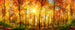 dimex sunny forest Fotomural Tejido No Tejido 375x150cm 5 Tiras | Yourdecoration.es