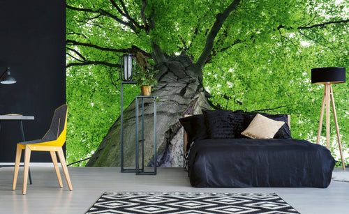dimex treetop Fotomural Tejido No Tejido 375x250cm 5 Tiras Ambiente | Yourdecoration.es