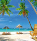 dimex tropical beach Fotomural Tejido No Tejido 225x250cm 3 Tiras | Yourdecoration.es