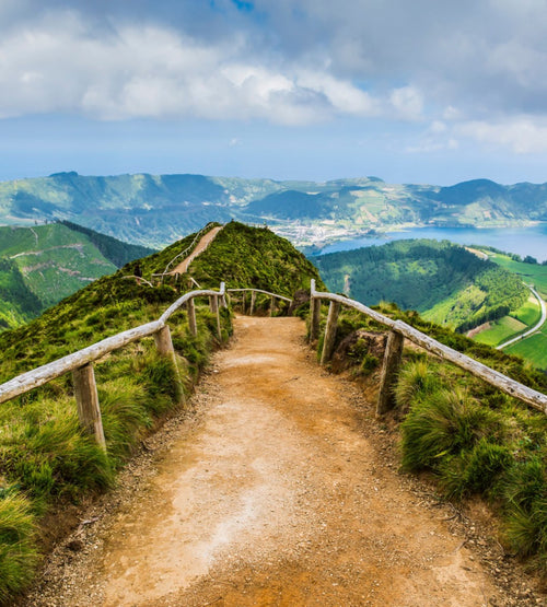 dimex walking path Fotomural Tejido No Tejido 225x250cm 3 Tiras | Yourdecoration.es