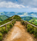 dimex walking path Fotomural Tejido No Tejido 225x250cm 3 Tiras | Yourdecoration.es