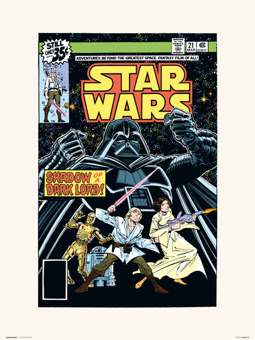 Grupo Erik Star Wars 21 Shadow Of A Dark Lord Reproducción de arte 30X40cm | Yourdecoration.es