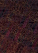 hx4 024 komar lotus Fotomural Tejido No Tejido 200x280cm 4 Tiras 74bcc0dc 8484 44bb 85d0 1060b0b137a3 | Yourdecoration.es
