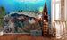 komar coral reef Fotomural Tejido No Tejido 400x280cm 8 Tiras Ambiente ec0e5caf 85c1 45cc 9e2e 8529db8df6cc | Yourdecoration.es