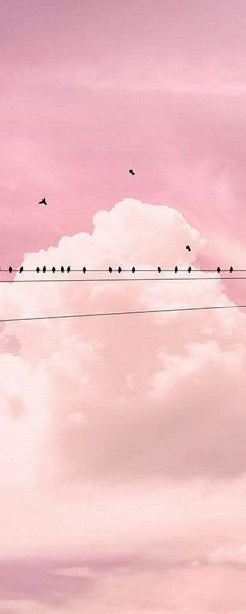 p017 vd1 komar cloud wire Fotomural Tejido No Tejido 100x250cm 1 Tira | Yourdecoration.es