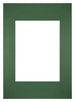 Paspartú Tamaño del Marco 20x28 cm - Tamaño de la Foto 13x18 cm - Bosque Verde