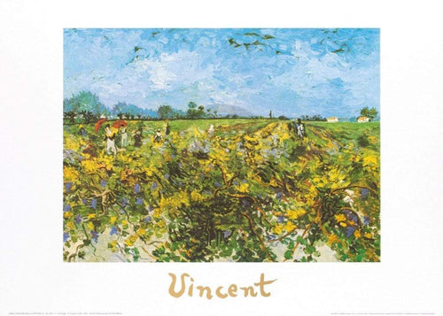 Vincent Van Gogh The Green Vineyard Reproducción de arte 70x50cm | Yourdecoration.es