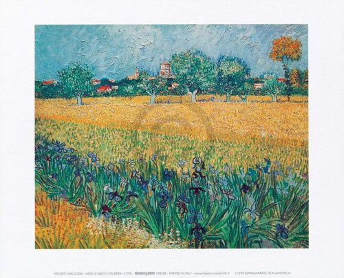 Vincent Van Gogh Vista di Arles Con Irises Reproducción de arte 30x24cm | Yourdecoration.es