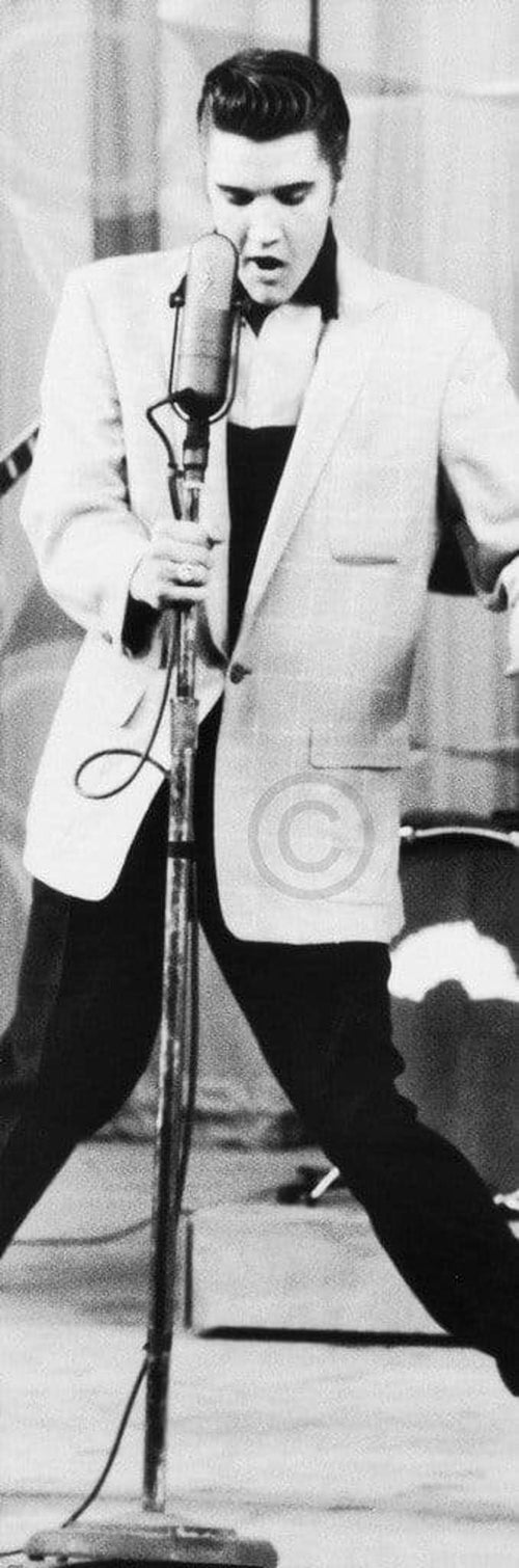 Edward Lunch The King Klein Reproducción de arte 30x91cm | Yourdecoration.es