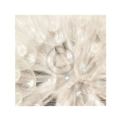 Adam Brock On the Breeze Reproducción de arte 51x51cm | Yourdecoration.es