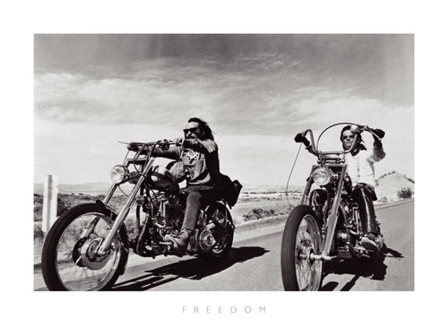 The Chelsea Coll Freedom Reproducción de arte 80x60cm | Yourdecoration.es
