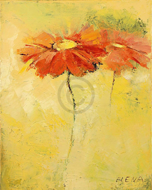 Elena Filatov Feldblumen I Reproducción de arte 40x50cm | Yourdecoration.es