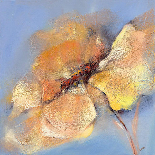 Elena Filatov Bright Anemone I Reproducción de arte 50x50cm | Yourdecoration.es