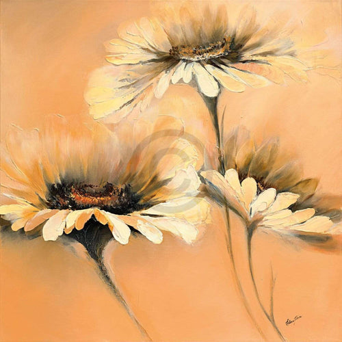 Elena Filatov Apricot Summer I Reproducción de arte 70x70cm | Yourdecoration.es