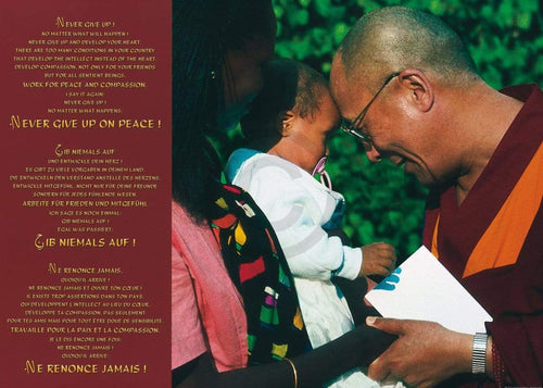 Johannes Frischknecht Dalai Lama with Child Reproducción de arte 70x50cm | Yourdecoration.es