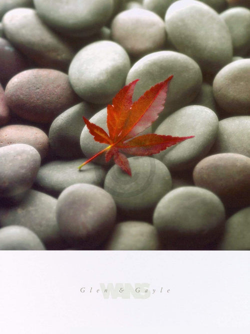 Glen & Gale Wans Leaf on Stone Reproducción de arte 45x61cm | Yourdecoration.es