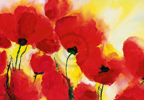 Heidi Reil Roter Mohn Toskana Reproducción de arte 100x70cm | Yourdecoration.es