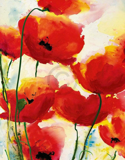 Heidi Reil Roter Mohn Reproducción de arte 70x90cm | Yourdecoration.es
